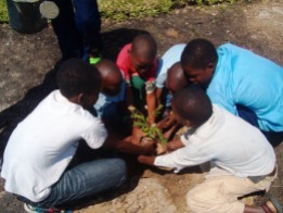 Los niños también plantaron su acacia (Foto: Lar São Jerónimo)
